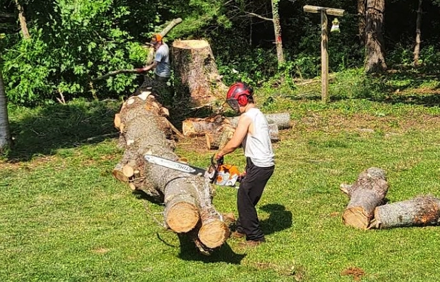 Safe & Strategic Tree Removal in Boones Mill, VA