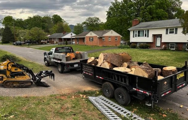 Safe & Professional Tree Removal in Hollins, VA
