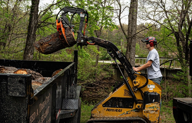 Responsive Tree Removal in Vinton, VA