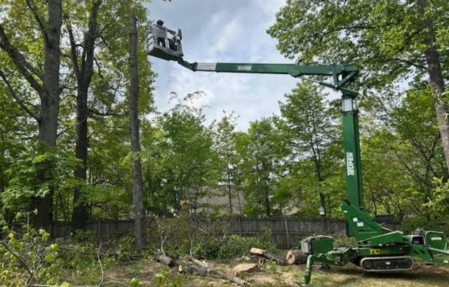 Restorative Tree Trimming & Pruning in Salem, VA
