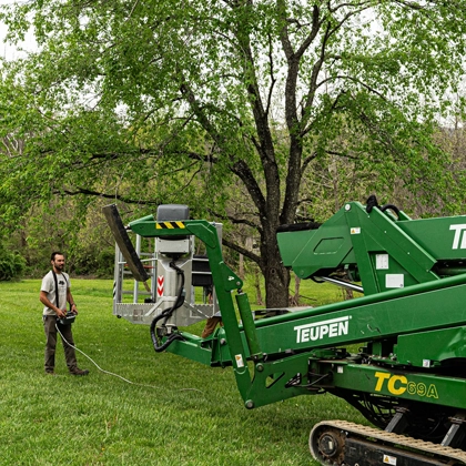 Healthy Trees in Cave Spring, VA