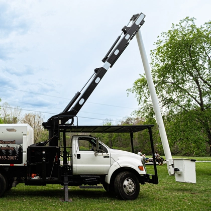 Top-Rated Tree Services in Daleville, VA